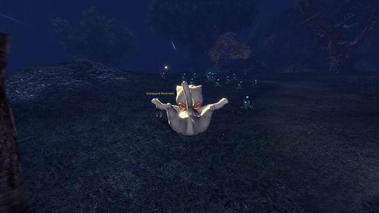 剑灵玩家控诉NCSoft:剑灵的灵族太萌伤到了他